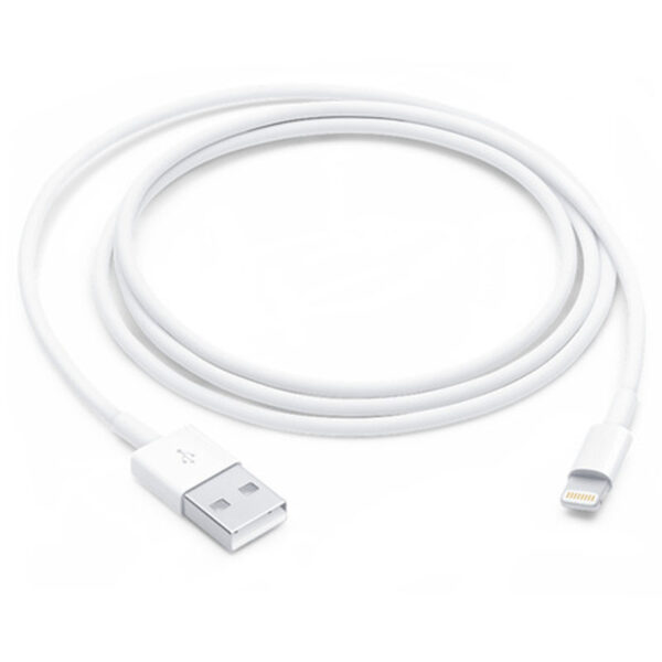 Apple Lightning to USB Cable 1M